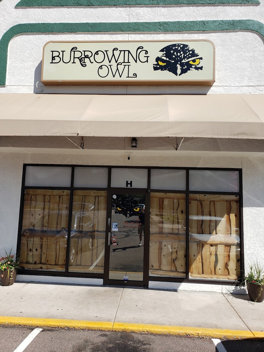 Burrowing Owl