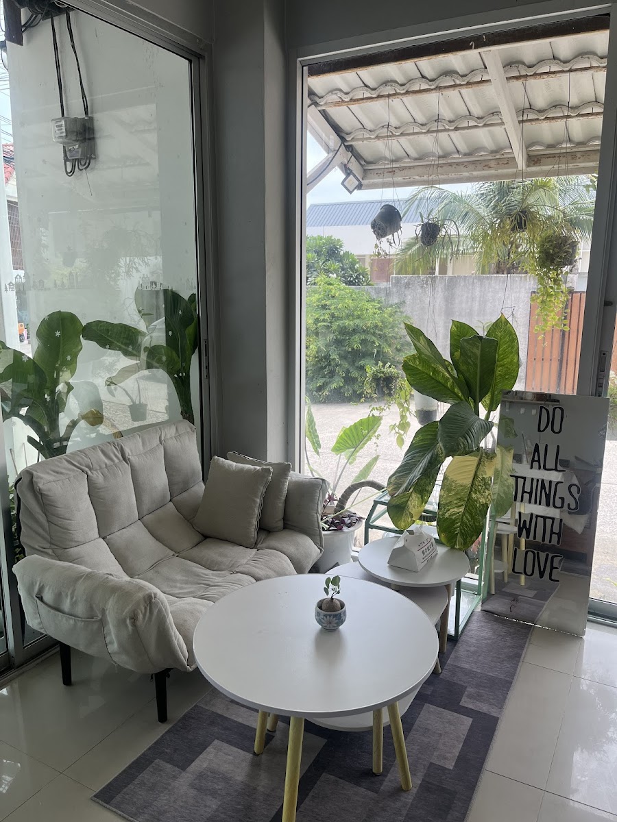 Daylight Cafe