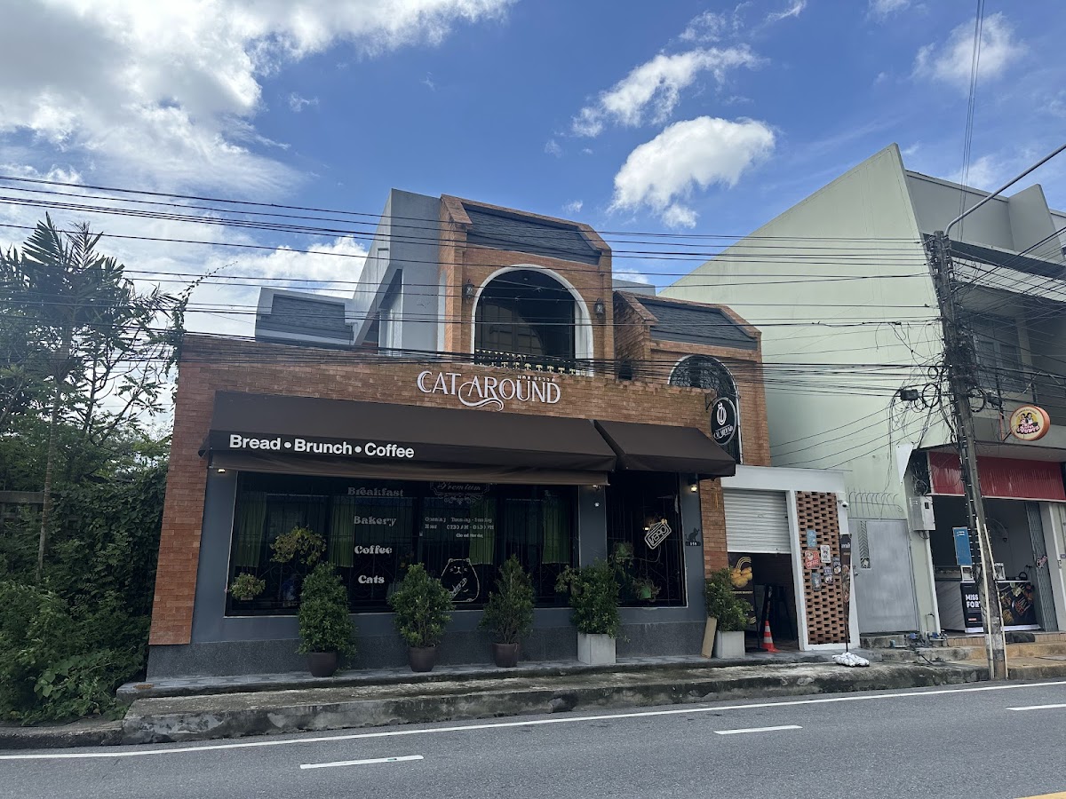 Cat Around Cafe’