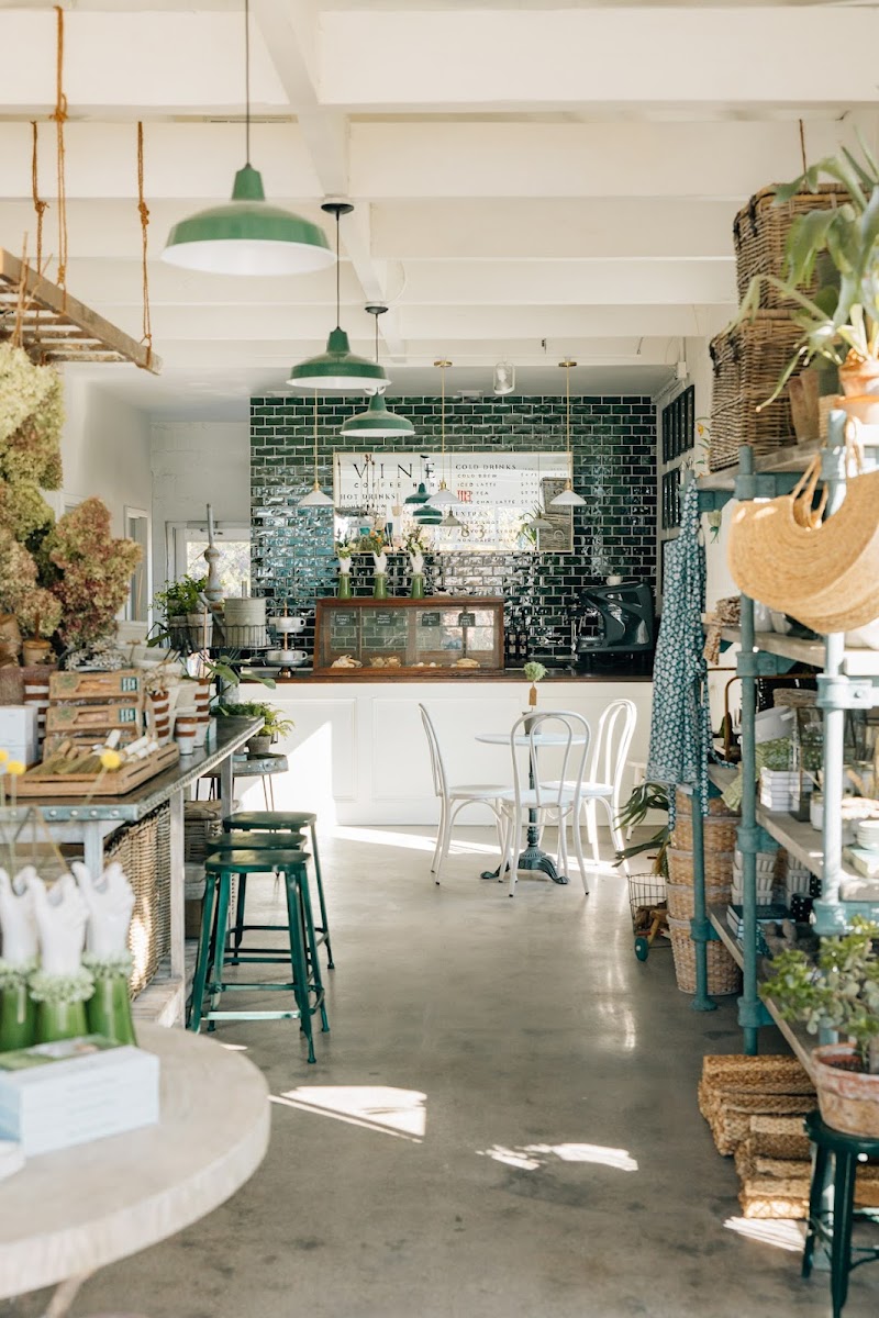 VINE plants · gifts · flowers · coffee
