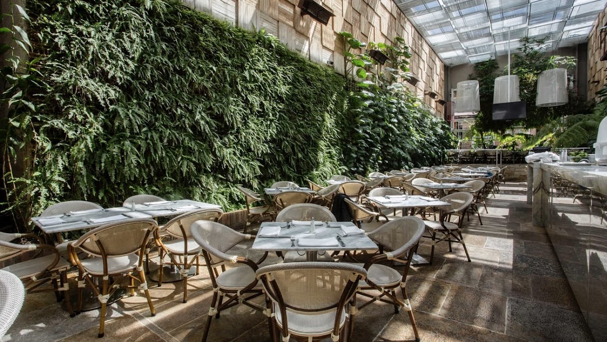 Cafe Amarti