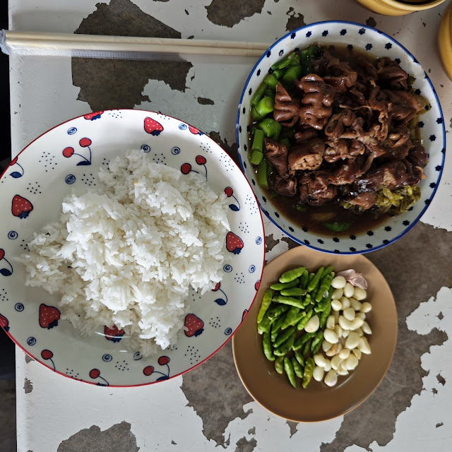Pork Intestines