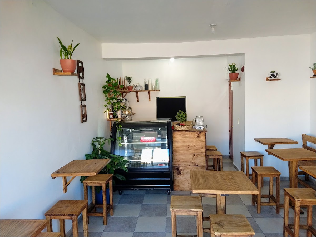 SER VERDE & CAFÉ