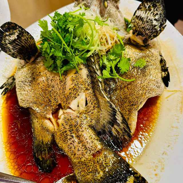 Tiger Grouper in Steam Mama Style