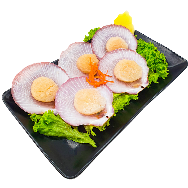 Scallop with Shell 扇贝