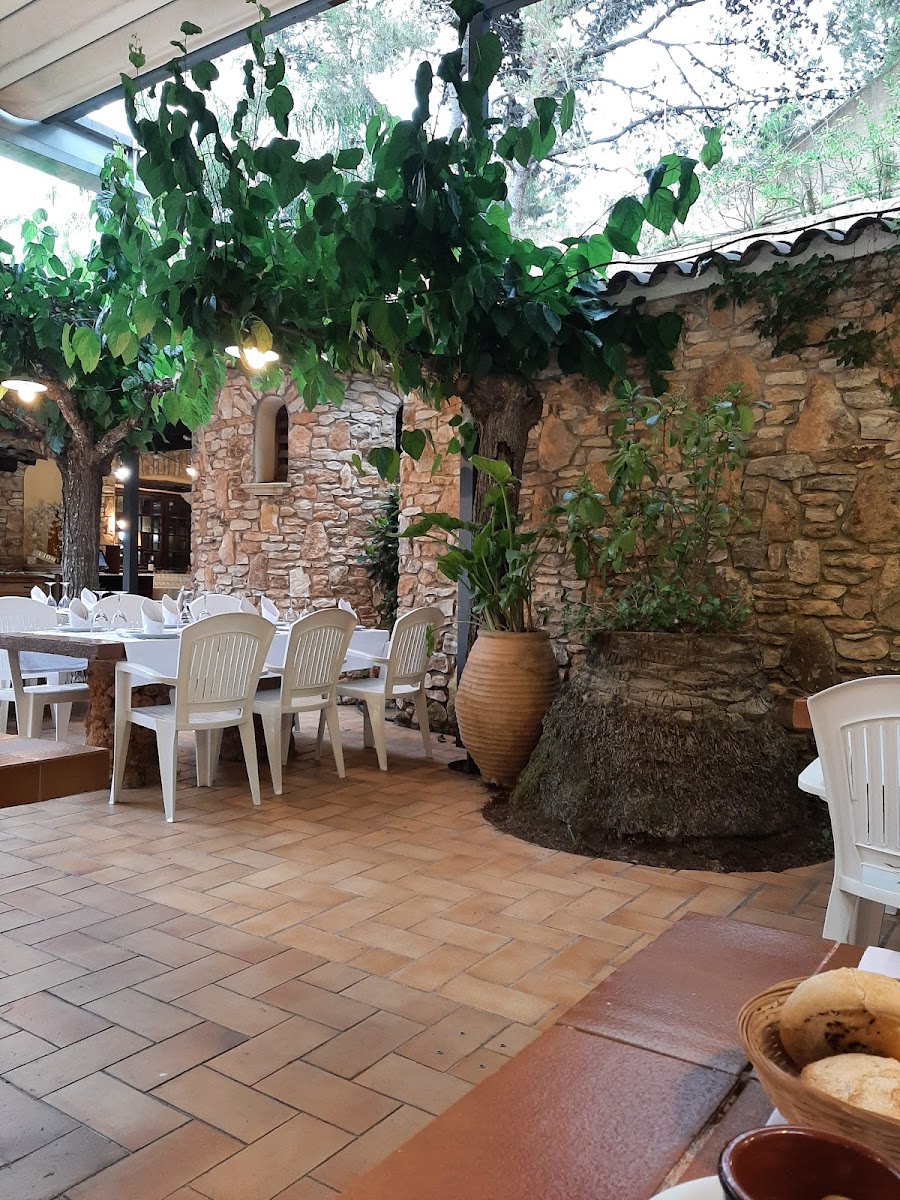 El Torreo Bar Restaurant