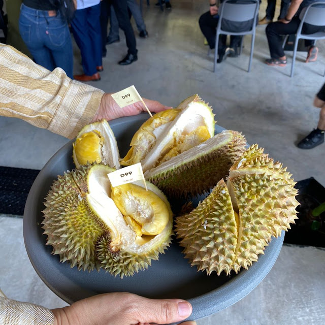 Durian d99