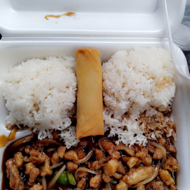 Teriyaki Chicken and White Rice
