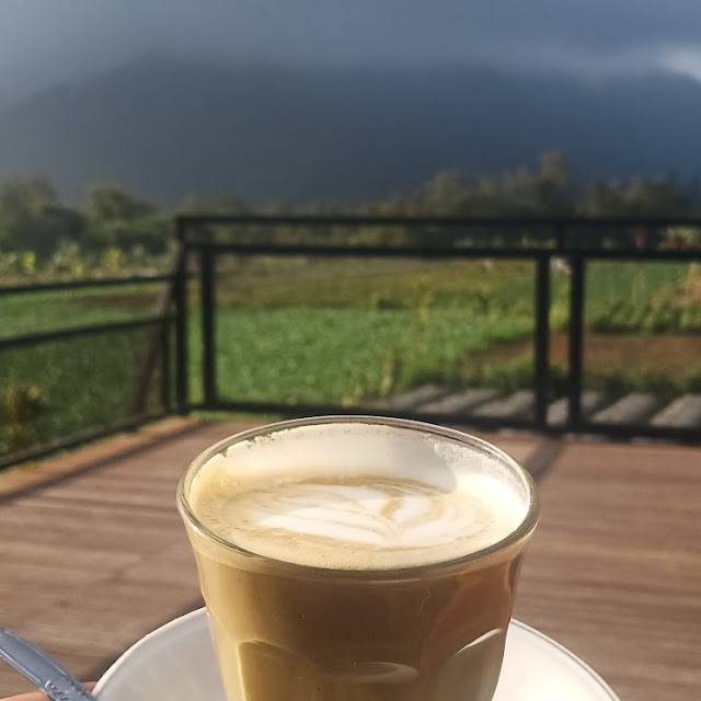 Matcha Latte