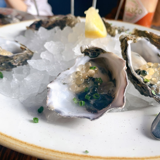 Oysters