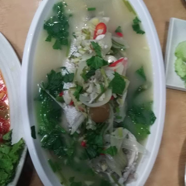 Fish
