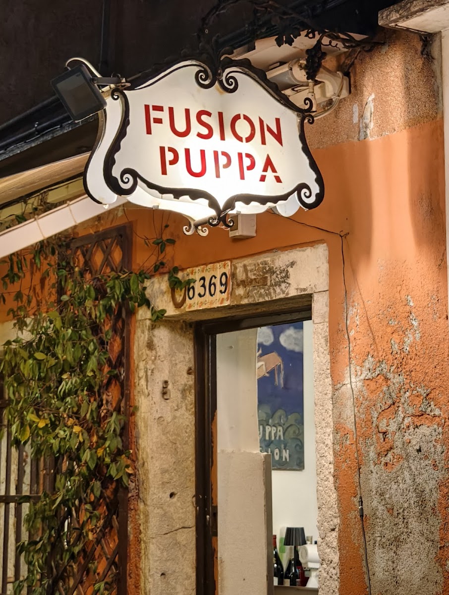 Fusion Puppa