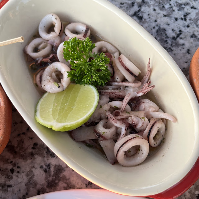 Pan Seared Squid