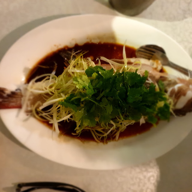 Fresh Steamed Coral Trout