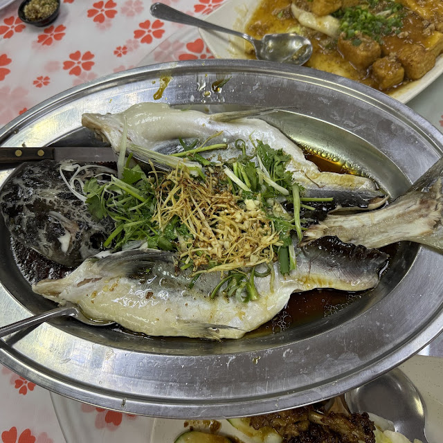 Steam Patin Fish