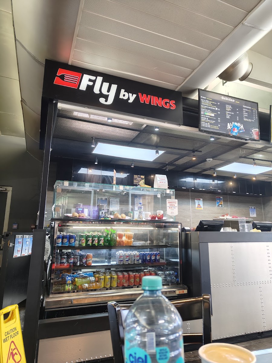 Fly By Wings