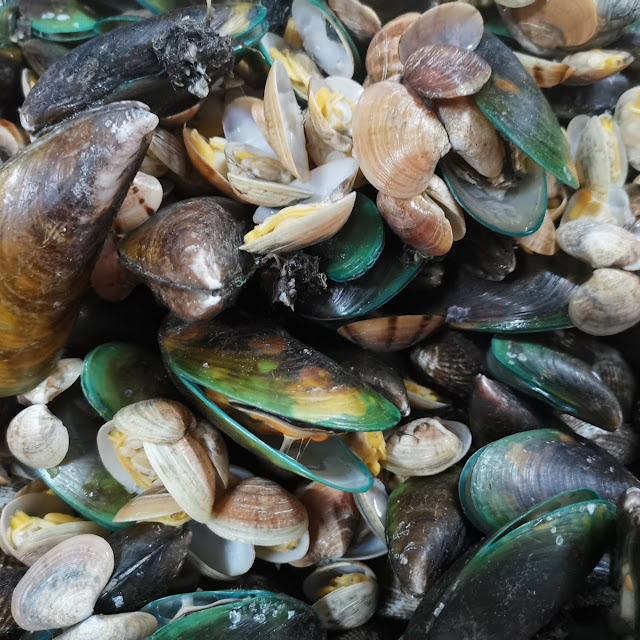 Kerang Rebus