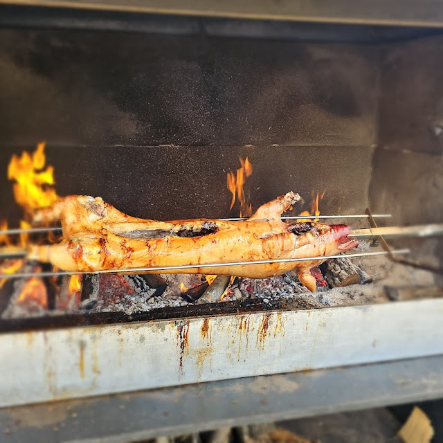 Sucking Pig