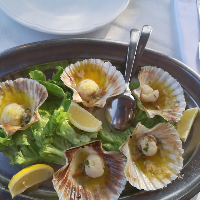 Queen Scallops