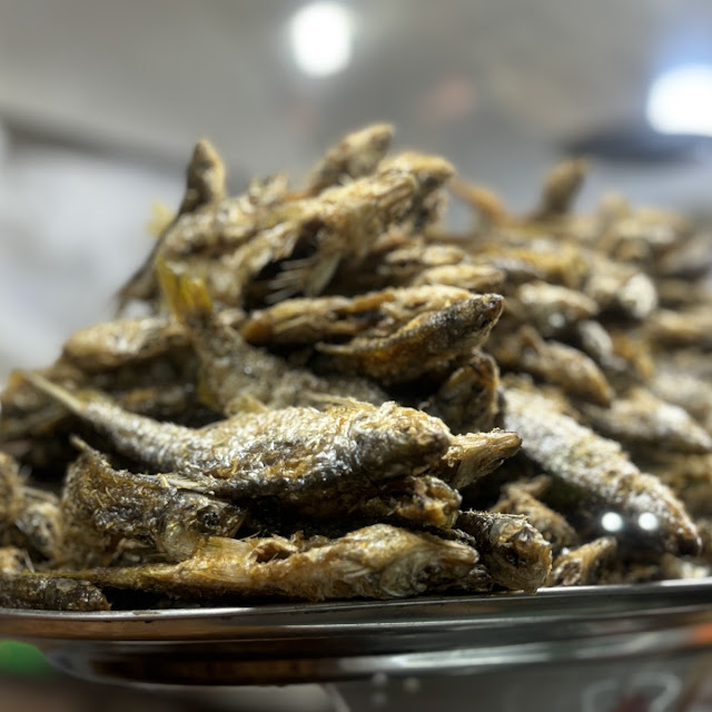 Ikan Pora-Pora