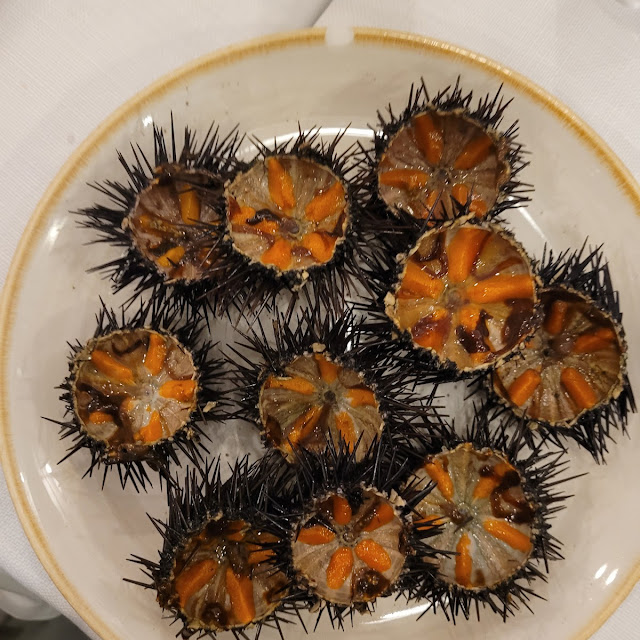 Ricci Di Mare