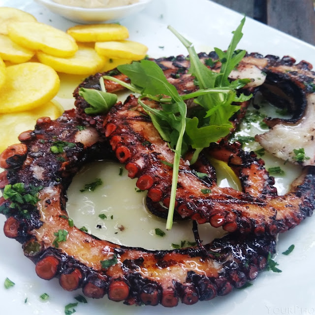 Octopus