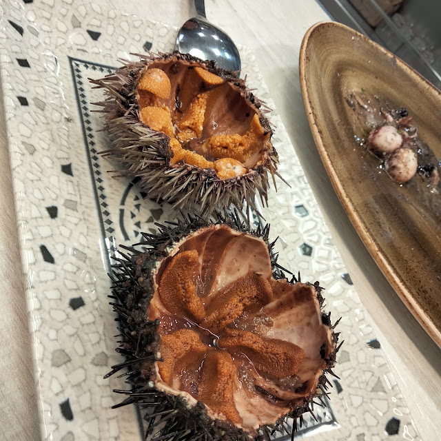Erizos de Mar