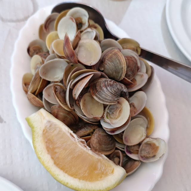 Coquinas