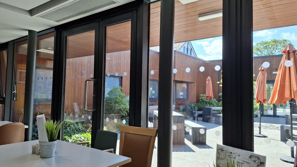 Caffi Cariad