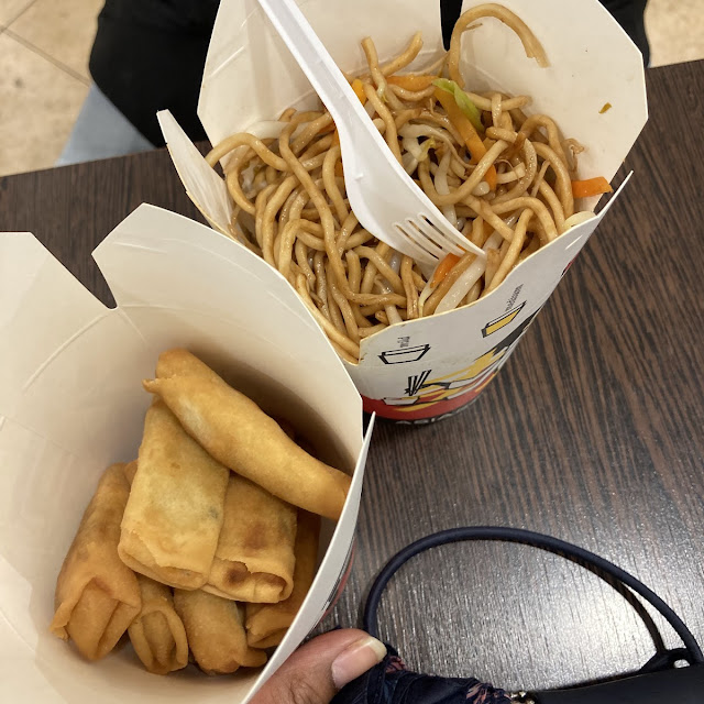 Vegetarian Noodles and Spring Rolls