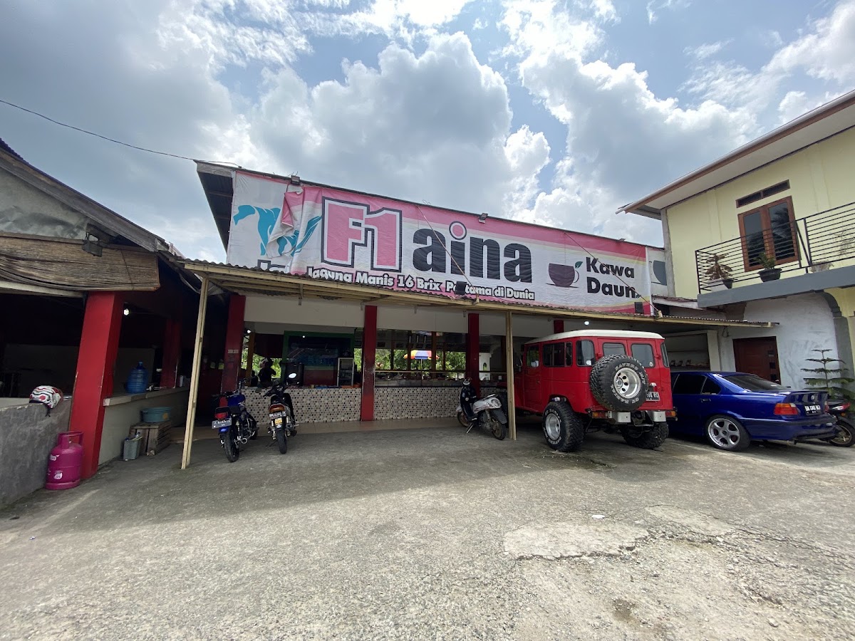 Jagung Super Manis F1 Aina Kawa Daun
