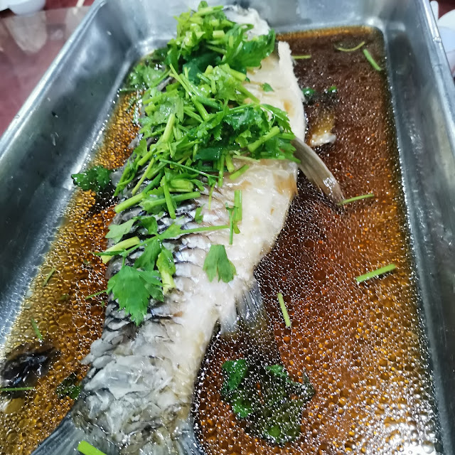 蒸Sultan鱼
