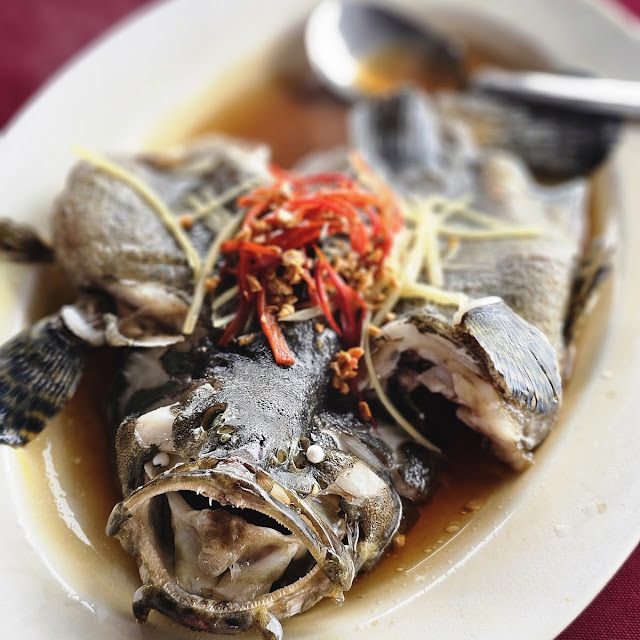 Hong Kong Style Steam Fish