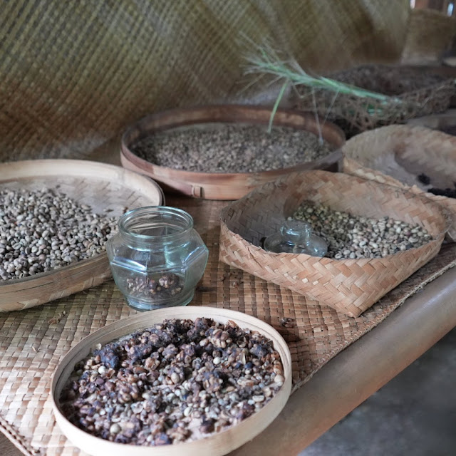 Luwak Coffee