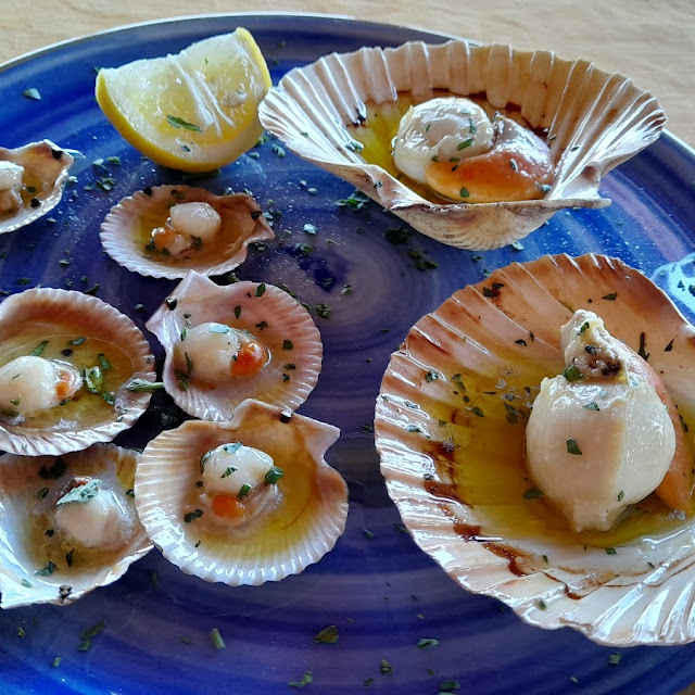 Scallops