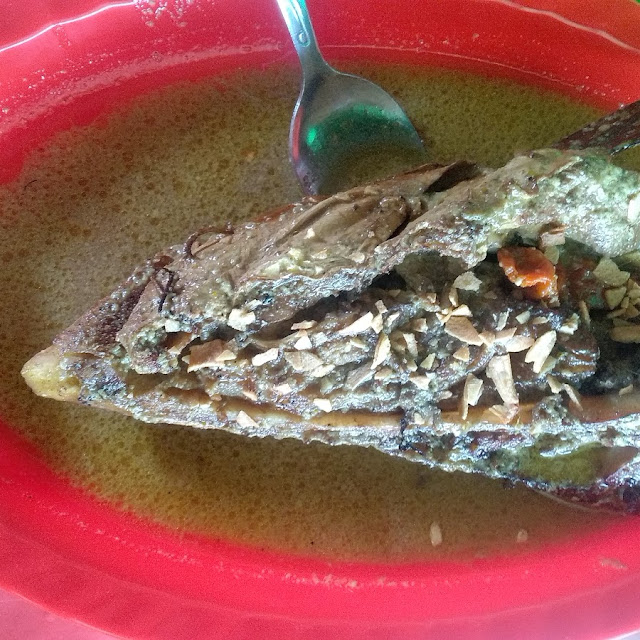 Kepala Ikan Manyung