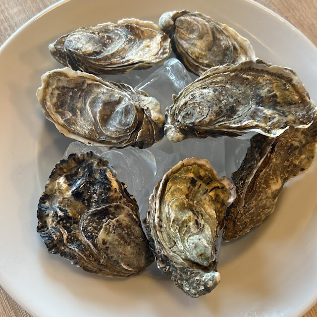 Ostriche Fresche