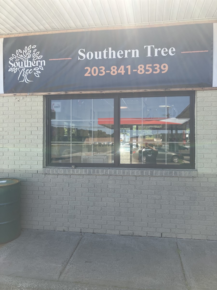 Southern Tree