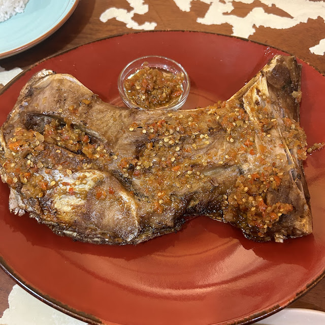 Tuna Rahang