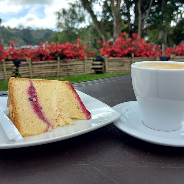 Cafe Capuchino de Vainilla Torta Frutos Rojos