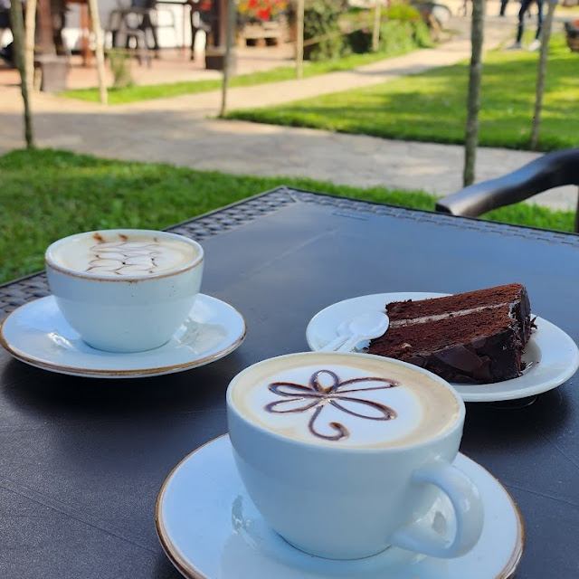 Cafe Capuchino Y Torta de Chocolate