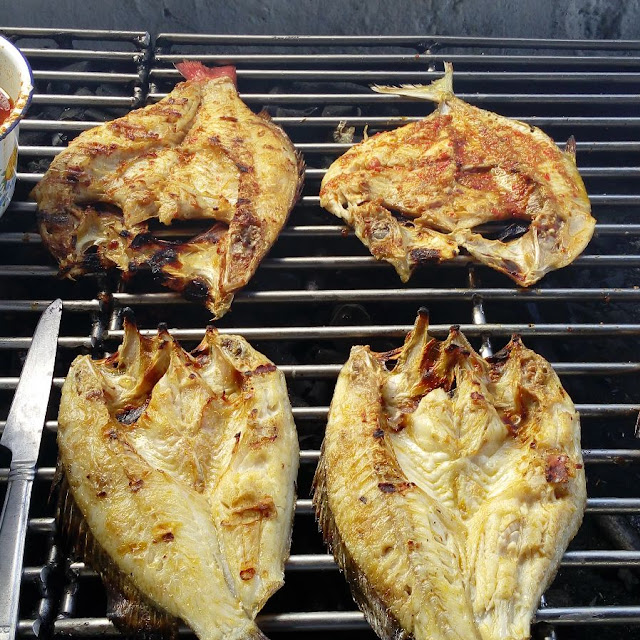 Ikan Fresh