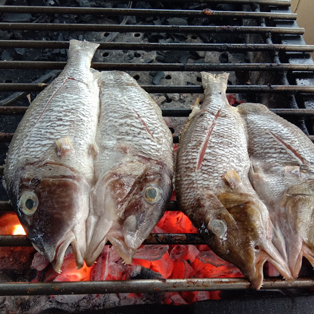 Katamba Bakar