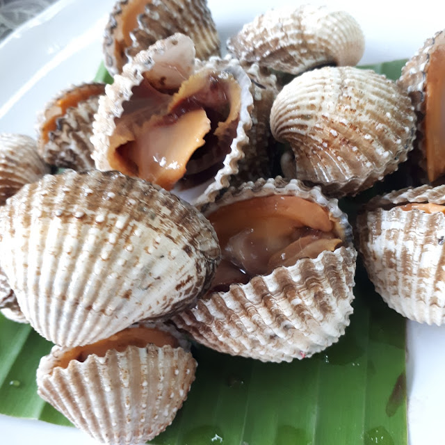 Boiled Cockles