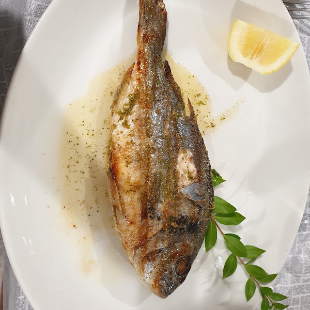 Orata O Spigola