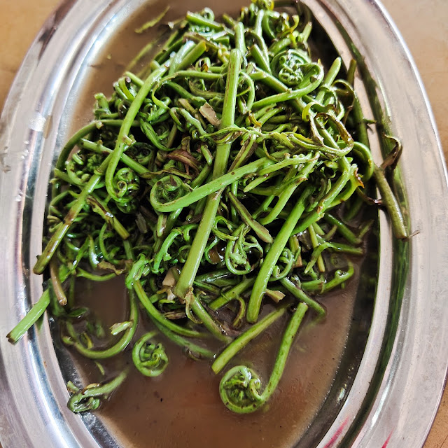 Pakupakis