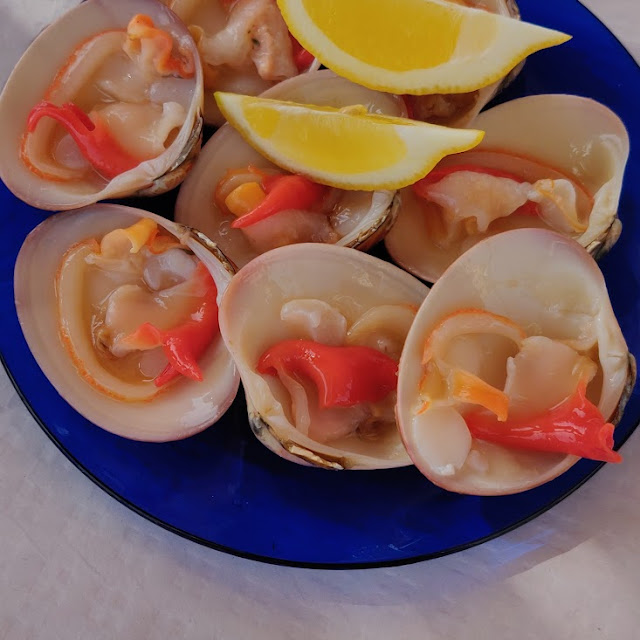 Conchas Finas