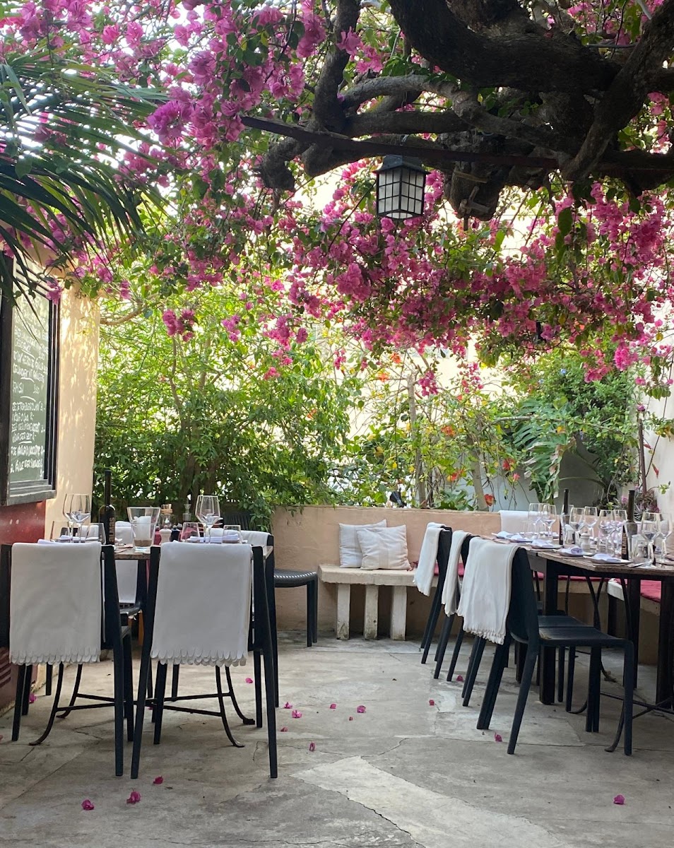 Restaurante Alegria