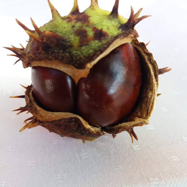 Chestnut