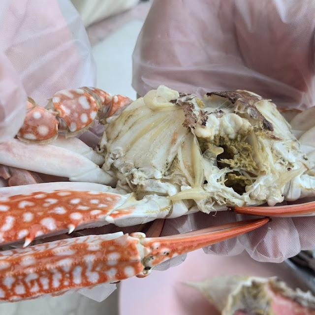 Cold Crab